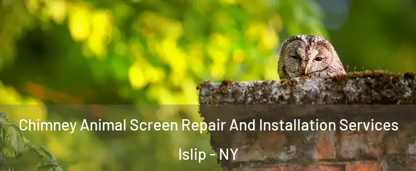  Chimney Animal Screen Repair And Installation Services Islip - NY